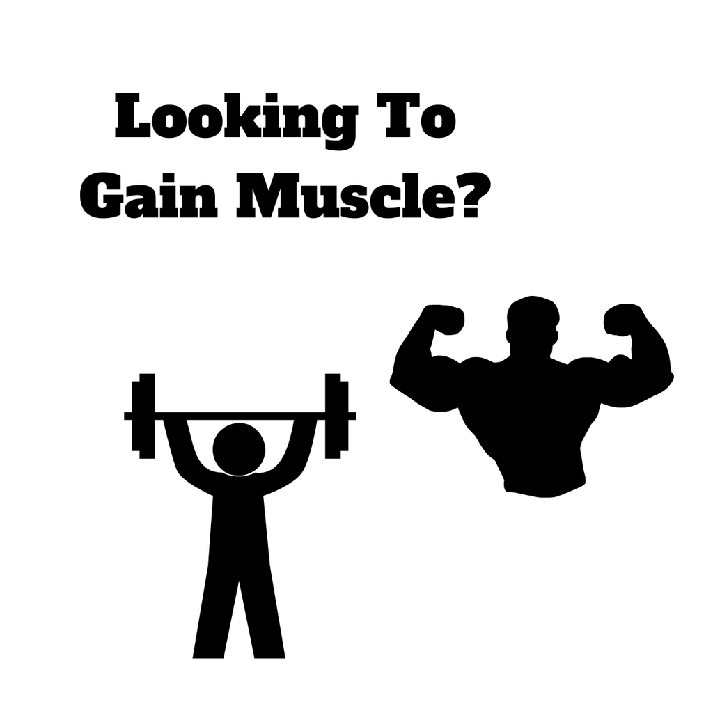 Looking to Gain Muscle?