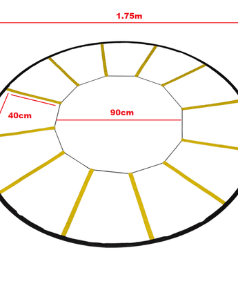 MORGAN SPIDER AGILITY LADDER