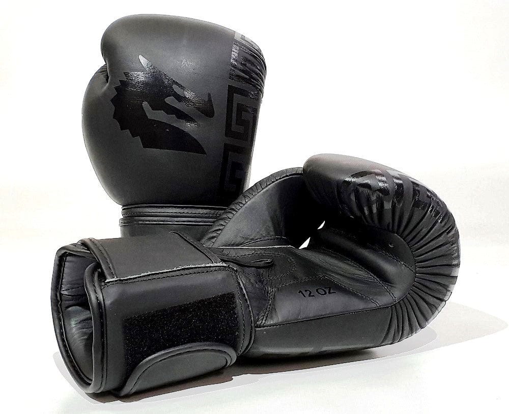 MORGAN B2 BOMBER BOXING GLOVES [12oz]