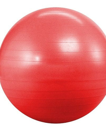 MORGAN GYM BALL (55CM)