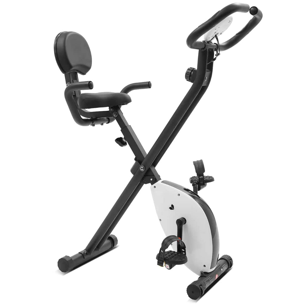 Lifespan Fitness EXER-11 Exercise Bike