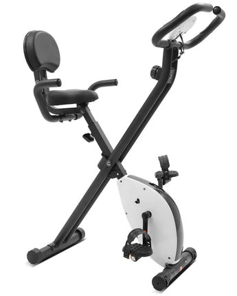 Lifespan Fitness EXER-11 Exercise Bike