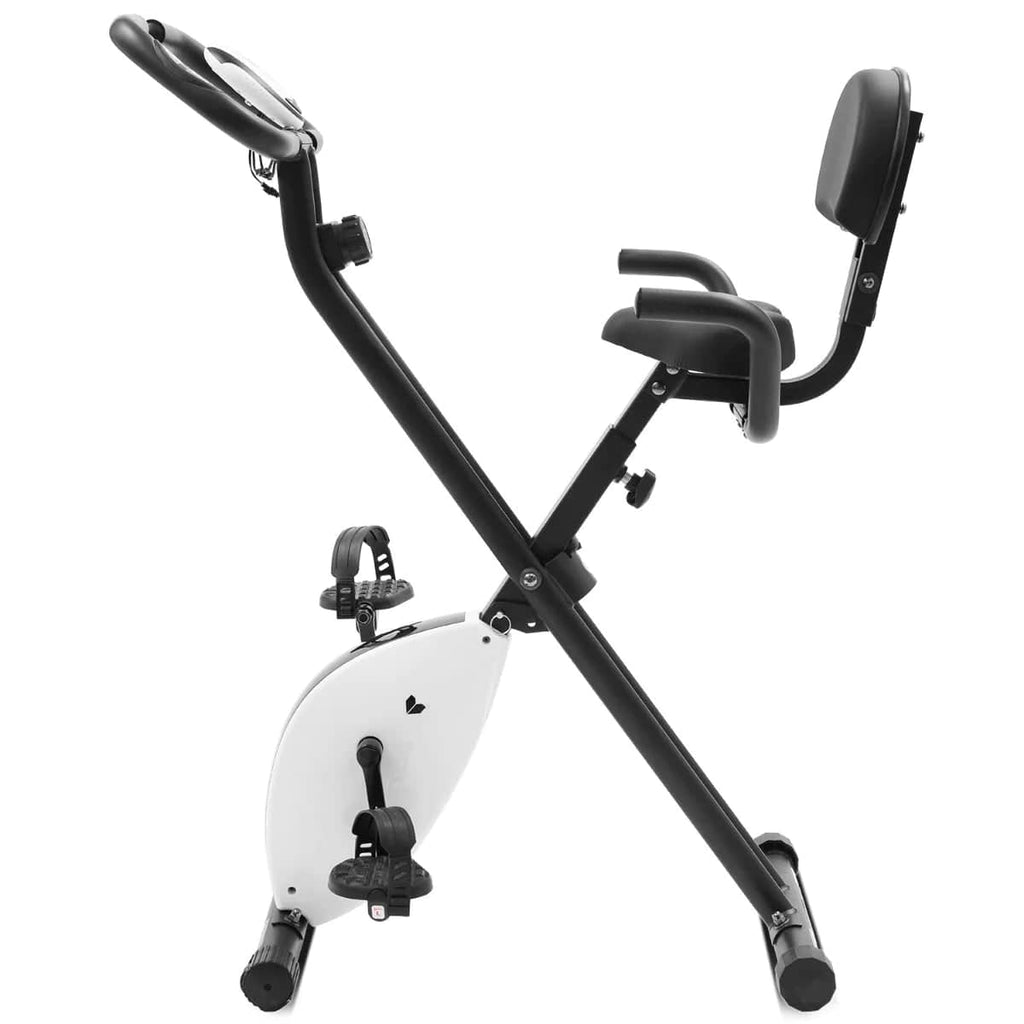 Lifespan Fitness EXER-11 Exercise Bike