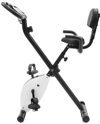 Lifespan Fitness EXER-11 Exercise Bike