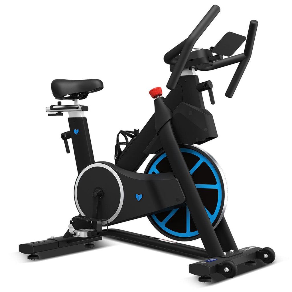 Lifespan Fitness Delta 1.0 Spin Bike