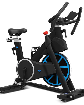 Lifespan Fitness Delta 1.0 Spin Bike