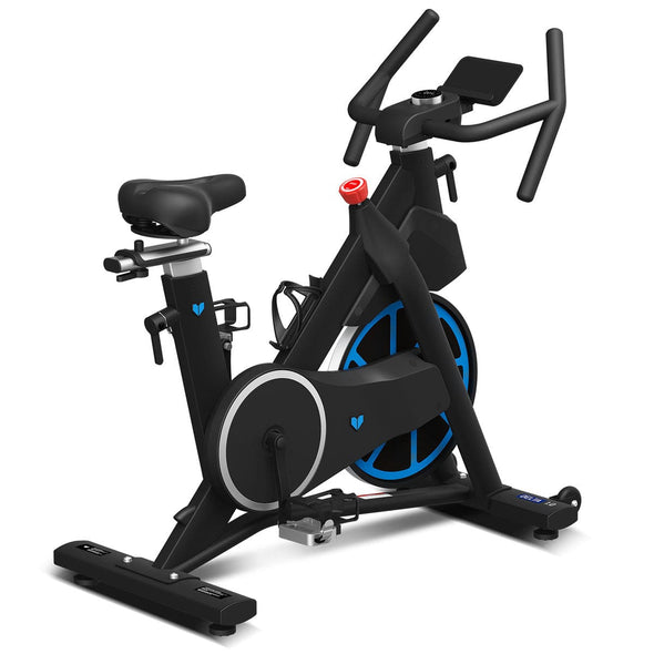 Lifespan Fitness Delta 1.0 Spin Bike