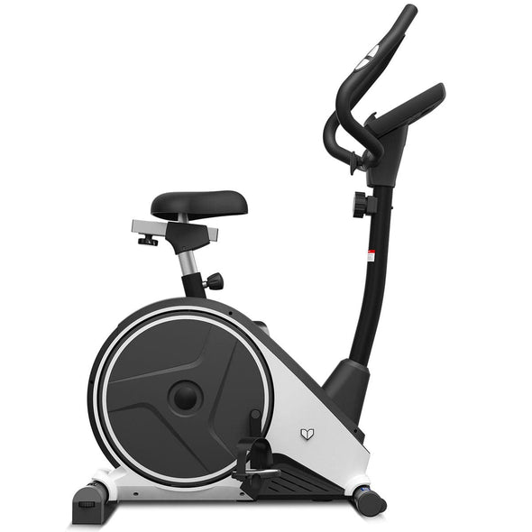 Lifespan Fitness Delta 2.0 Exercise Bike