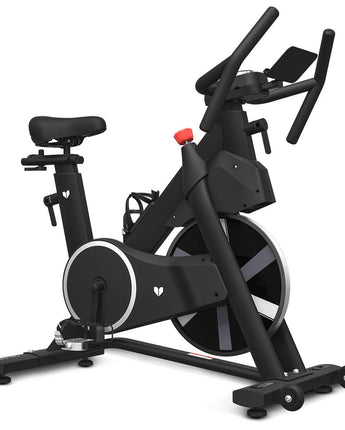 Lifespan Fitness SM-420 Spin Bike with Automatic Magnetic Resistance