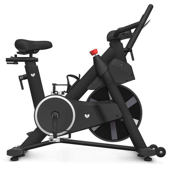 Lifespan Fitness SM-420 Spin Bike with Automatic Magnetic Resistance