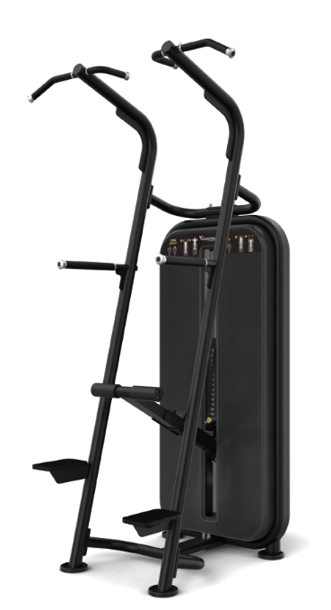 Vision Fitness Chin / Dip Assist