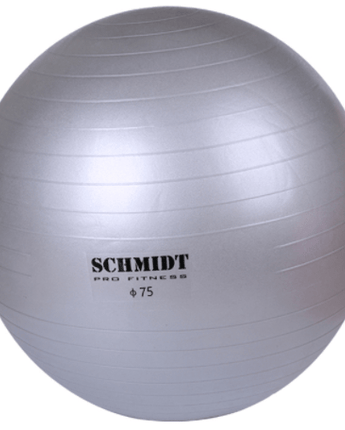 Schmidt Gym Ball