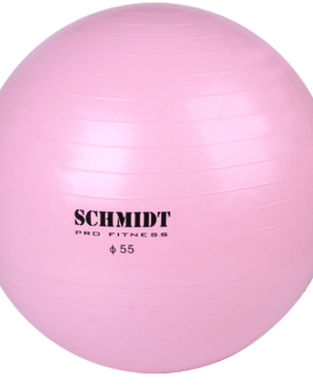 Schmidt Gym Ball